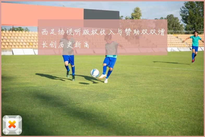 西足协视听版权收入与赞助双双增长创历史新高
